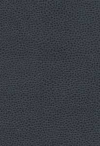 Promessa Atlantic 363-2680 by Schumacher Fabric