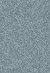 Promessa Aquamarine 363-2695 by Schumacher Fabric