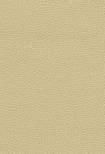 Promessa Linen 363-3036 by Schumacher Fabric
