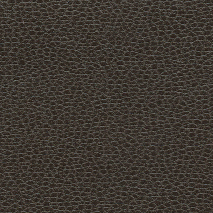Promessa Horsehair 363-3037 by Schumacher Fabric ULTRALEATHER POLYURETHANE 100% JAPAN WYZENBEEK 400,000 </p><p>Repeat: Horizontal: and Vertical: 54 - Fabric Carolina -