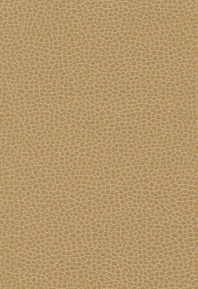 Promessa Cashmere 363-3139 by Schumacher Fabric Ultraleather 100% Polyurethane Wyzenbeek 400,000 Horizontal: - and Vertical: - 54 - Fabric Carolina -