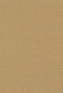 Promessa Cashmere 363-3139 by Schumacher Fabric