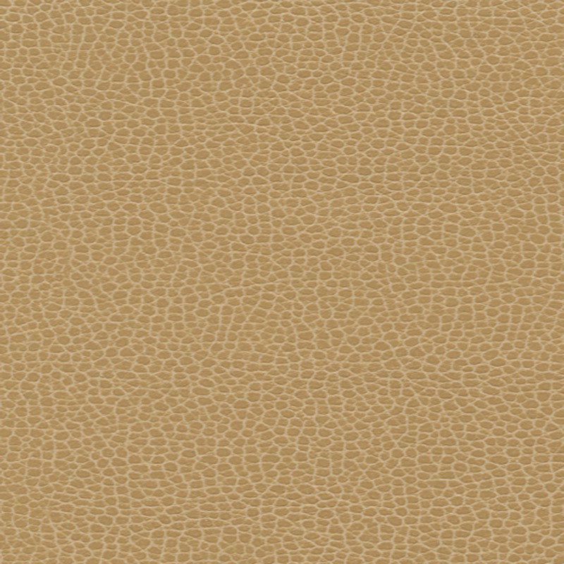 Promessa Cashmere 363-3139 by Schumacher Fabric ULTRALEATHER POLYURETHANE 100% JAPAN WYZENBEEK 400,000 </p><p>Repeat: Horizontal: and Vertical: 54 - Fabric Carolina -