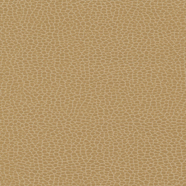 Promessa Cashmere 363-3139 by Schumacher Fabric ULTRALEATHER POLYURETHANE 100% JAPAN WYZENBEEK 400,000 </p><p>Repeat: Horizontal: and Vertical: 54 - Fabric Carolina -