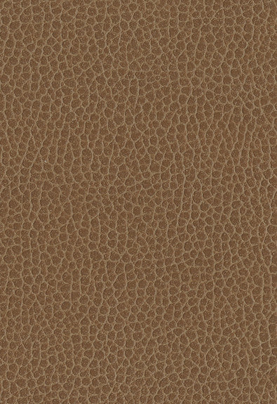 Promessa Fields 363-3141 by Schumacher Fabric Ultraleather 100% Polyurethane Wyzenbeek 400,000 Horizontal: - and Vertical: - 54 - Fabric Carolina -