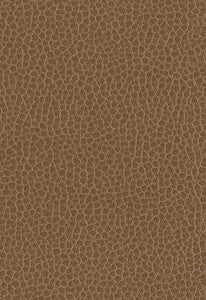 Promessa Fields 363-3141 by Schumacher Fabric