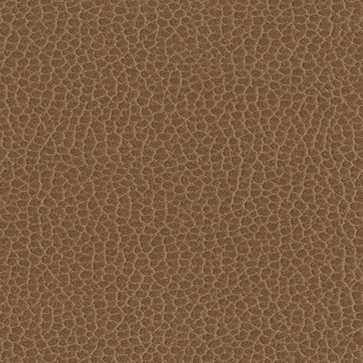 Promessa Fields 363-3141 by Schumacher Fabric ULTRALEATHER See Sample JAPAN HEAVY DUTY </p><p>Repeat: Horizontal: - and Vertical: - 54" WIDE (137CM) - Fabric Carolina -