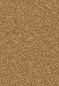 Promessa Camel 363-3142 by Schumacher Fabric