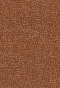Promessa Leather 363-3144 by Schumacher Fabric