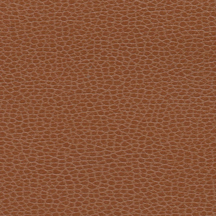 Promessa Leather 363-3144 by Schumacher Fabric ULTRALEATHER See Sample JAPAN HEAVY DUTY </p><p>Repeat: Horizontal: - and Vertical: - 54" WIDE (137CM) - Fabric Carolina -