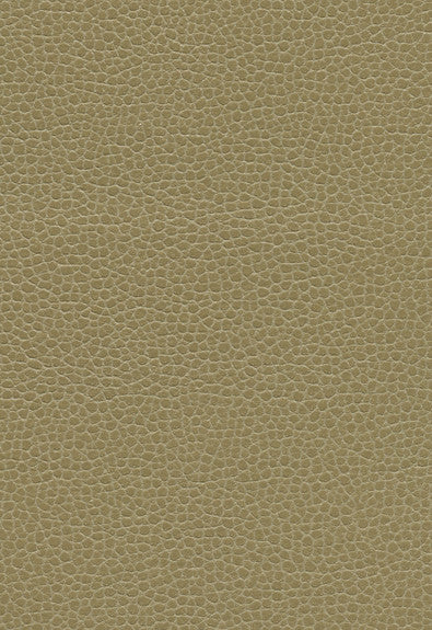 Promessa Briarwood 363-3148 by Schumacher Fabric Ultraleather 100% Polyurethane Wyzenbeek 400,000 Horizontal: - and Vertical: - 54 - Fabric Carolina -