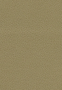Promessa Briarwood 363-3148 by Schumacher Fabric