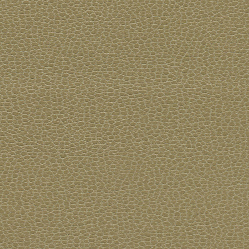Promessa Briarwood 363-3148 by Schumacher Fabric ULTRALEATHER POLYURETHANE 100% JAPAN WYZENBEEK 400,000 </p><p>Repeat: Horizontal: and Vertical: 54 - Fabric Carolina -