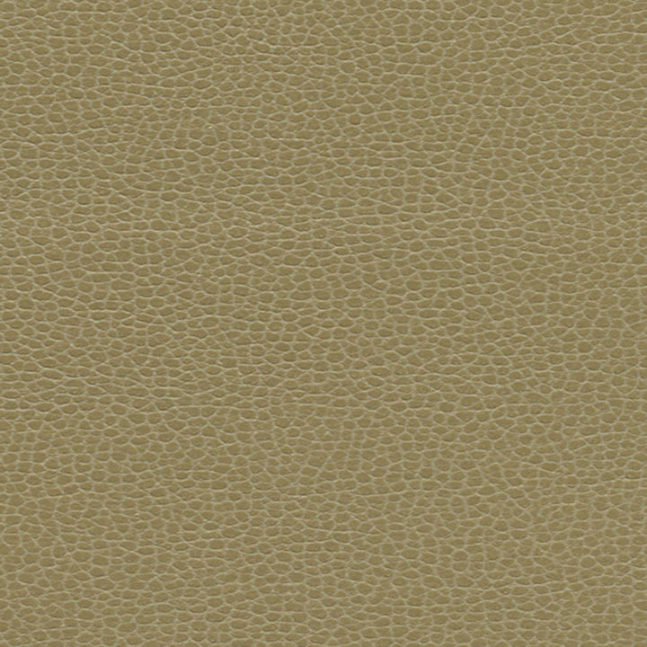 Promessa Briarwood 363-3148 by Schumacher Fabric ULTRALEATHER See Sample JAPAN HEAVY DUTY </p><p>Repeat: Horizontal: - and Vertical: - 54" WIDE (137CM) - Fabric Carolina -