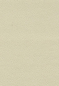Promessa Parchment 363-3152 by Schumacher Fabric