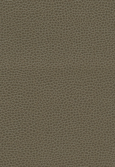 Promessa Woodpecker 363-3462 by Schumacher Fabric Ultraleather 100% Polyurethane Wyzenbeek 400,000 Horizontal: - and Vertical: - 54 - Fabric Carolina -