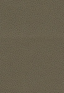 Promessa Woodpecker 363-3462 by Schumacher Fabric
