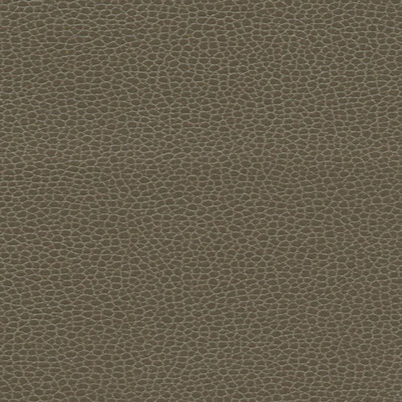 Promessa Woodpecker 363-3462 by Schumacher Fabric ULTRALEATHER POLYURETHANE 100% JAPAN WYZENBEEK 400,000 </p><p>Repeat: Horizontal: and Vertical: 54 - Fabric Carolina -