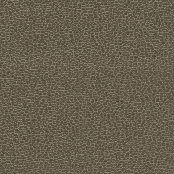Promessa Woodpecker 363-3462 by Schumacher Fabric ULTRALEATHER POLYURETHANE 100% JAPAN WYZENBEEK 400,000 </p><p>Repeat: Horizontal: and Vertical: 54 - Fabric Carolina -