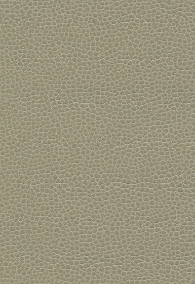 Promessa Taupe 363-3463 by Schumacher Fabric Ultraleather 100% Polyurethane Wyzenbeek 400,000 Horizontal: - and Vertical: - 54 - Fabric Carolina -
