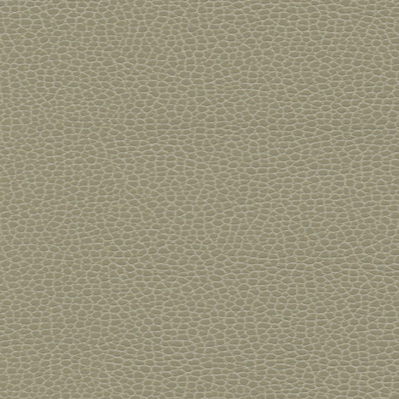 Promessa Taupe 363-3463 by Schumacher Fabric ULTRALEATHER See Sample JAPAN HEAVY DUTY </p><p>Repeat: Horizontal: - and Vertical: - 54" WIDE (137CM) - Fabric Carolina -