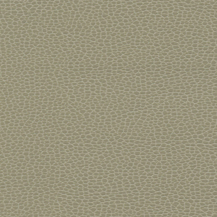 Promessa Taupe 363-3463 by Schumacher Fabric ULTRALEATHER POLYURETHANE 100% JAPAN WYZENBEEK 400,000 </p><p>Repeat: Horizontal: and Vertical: 54 - Fabric Carolina -