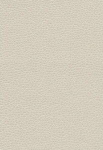 Promessa Tusk 363-3464 by Schumacher Fabric