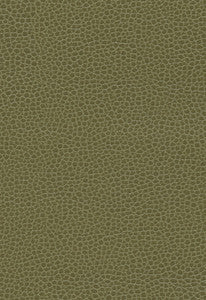 Promessa Moss 363-4514 by Schumacher Fabric