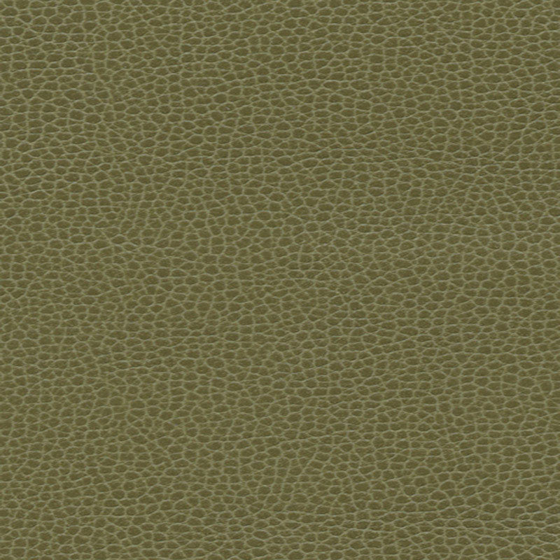 Promessa Moss 363-4514 by Schumacher Fabric ULTRALEATHER See Sample JAPAN HEAVY DUTY </p><p>Repeat: Horizontal: - and Vertical: - 54" WIDE (137CM) - Fabric Carolina -