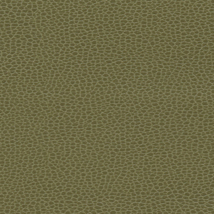 Promessa Moss 363-4514 by Schumacher Fabric ULTRALEATHER See Sample JAPAN HEAVY DUTY </p><p>Repeat: Horizontal: - and Vertical: - 54" WIDE (137CM) - Fabric Carolina -