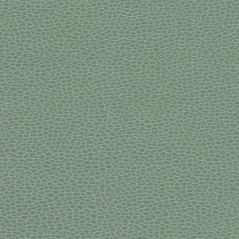 Promessa Seamist 363-4515 by Schumacher Fabric ULTRALEATHER See Sample JAPAN HEAVY DUTY </p><p>Repeat: Horizontal: - and Vertical: - 54" WIDE (137CM) - Fabric Carolina -