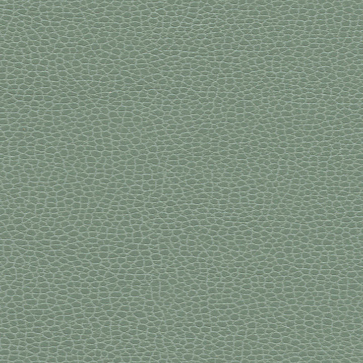 Promessa Seamist 363-4515 by Schumacher Fabric ULTRALEATHER See Sample JAPAN HEAVY DUTY </p><p>Repeat: Horizontal: - and Vertical: - 54" WIDE (137CM) - Fabric Carolina -