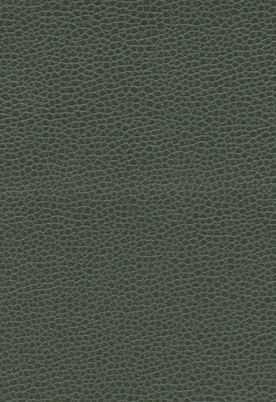 Promessa Hunter 363-4516 by Schumacher Fabric Ultraleather 100% Polyurethane Wyzenbeek 400,000 Horizontal: - and Vertical: - 54 - Fabric Carolina -