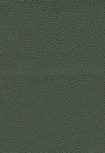 Promessa Hunter 363-4516 by Schumacher Fabric