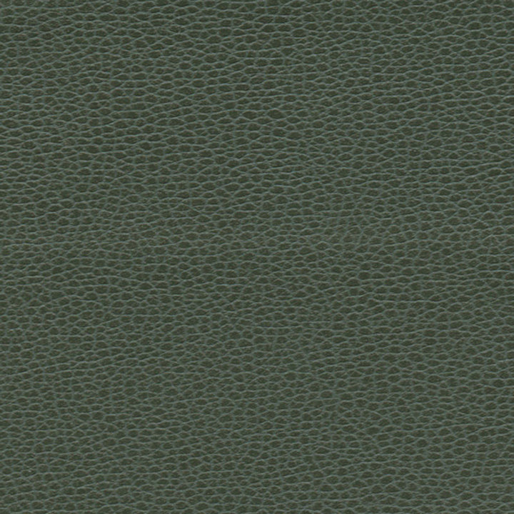 Promessa Hunter 363-4516 by Schumacher Fabric ULTRALEATHER See Sample JAPAN HEAVY DUTY </p><p>Repeat: Horizontal: - and Vertical: - 54" WIDE (137CM) - Fabric Carolina -