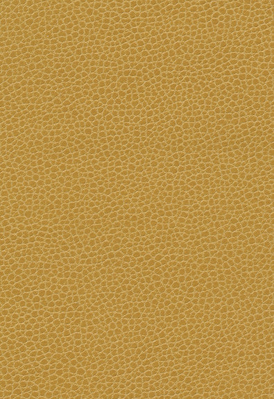 Promessa Sunshower 363-5258 by Schumacher Fabric Ultraleather 100% Polyurethane Wyzenbeek 400,000 Horizontal: - and Vertical: - 54 - Fabric Carolina -