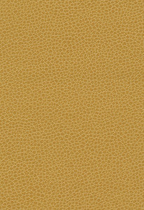 Promessa Sunshower 363-5258 by Schumacher Fabric