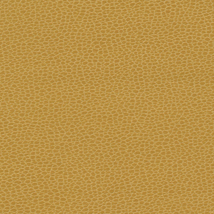Promessa Sunshower 363-5258 by Schumacher Fabric ULTRALEATHER See Sample JAPAN HEAVY DUTY </p><p>Repeat: Horizontal: - and Vertical: - 54" WIDE (137CM) - Fabric Carolina -