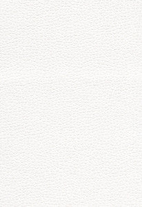 Promessa Snow 363-5715 by Schumacher Fabric