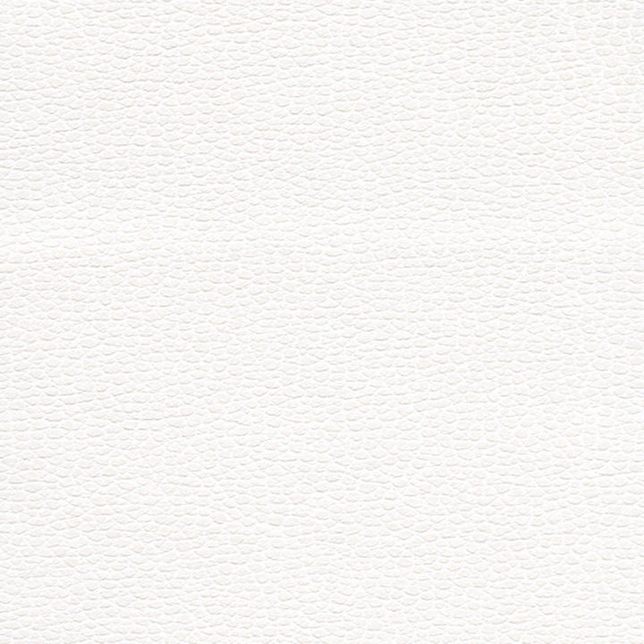 Promessa Snow 363-5715 by Schumacher Fabric ULTRALEATHER See Sample JAPAN HEAVY DUTY </p><p>Repeat: Horizontal: - and Vertical: - 54" WIDE (137CM) - Fabric Carolina -