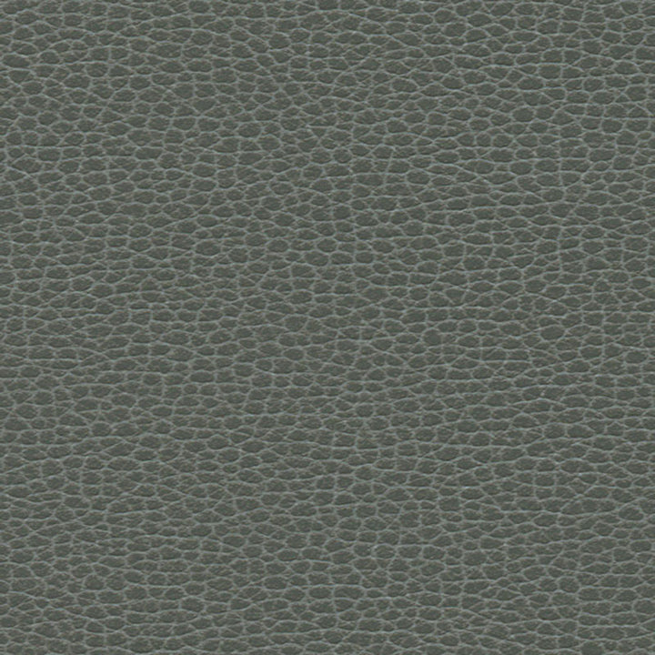 Promessa Shale 363-5817 by Schumacher Fabric ULTRALEATHER See Sample JAPAN HEAVY DUTY </p><p>Repeat: Horizontal: - and Vertical: - 54" WIDE (137CM) - Fabric Carolina -