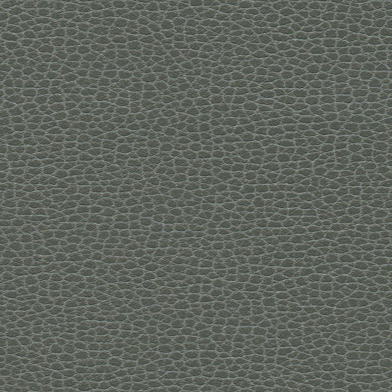 Promessa Shale 363-5817 by Schumacher Fabric ULTRALEATHER POLYURETHANE 100% JAPAN WYZENBEEK 400,000 </p><p>Repeat: Horizontal: and Vertical: 54 - Fabric Carolina -