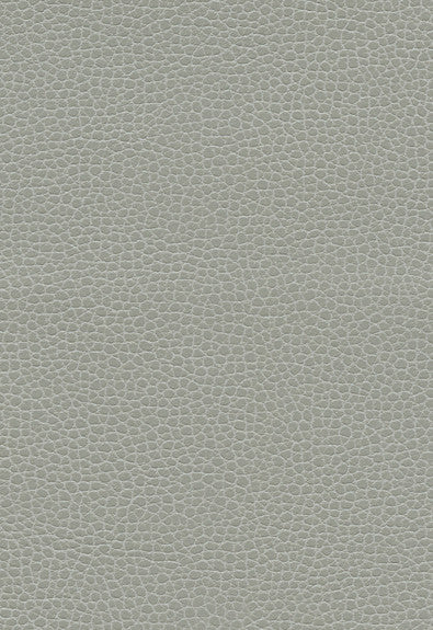 Promessa Ash 363-5818 by Schumacher Fabric Ultraleather 100% Polyurethane Wyzenbeek 400,000 Horizontal: - and Vertical: - 54 - Fabric Carolina -