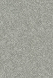 Promessa Ash 363-5818 by Schumacher Fabric