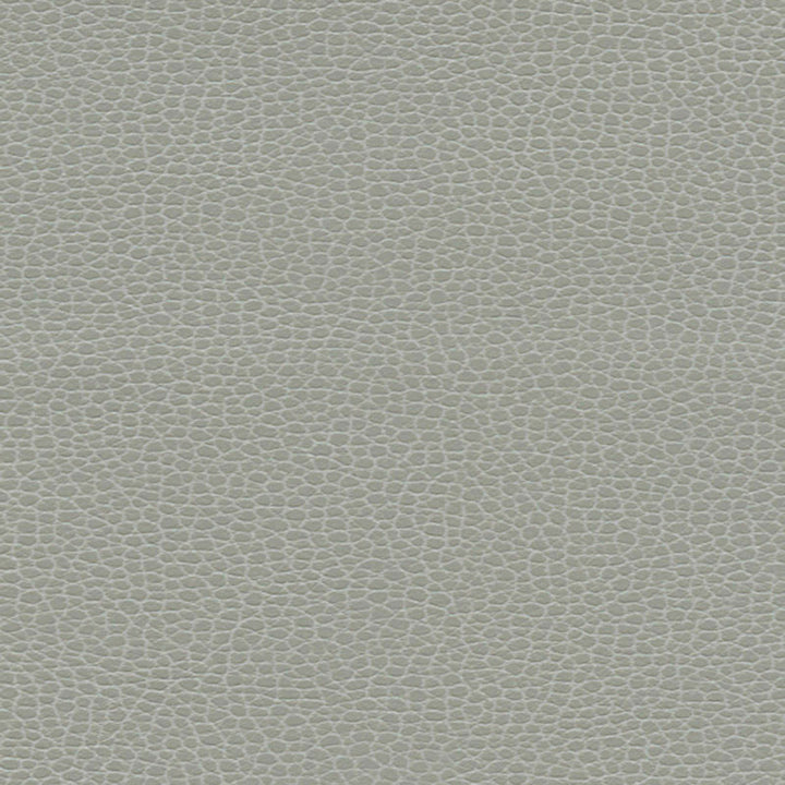 Promessa Ash 363-5818 by Schumacher Fabric ULTRALEATHER POLYURETHANE 100% JAPAN WYZENBEEK 400,000 </p><p>Repeat: Horizontal: and Vertical: 54 - Fabric Carolina -