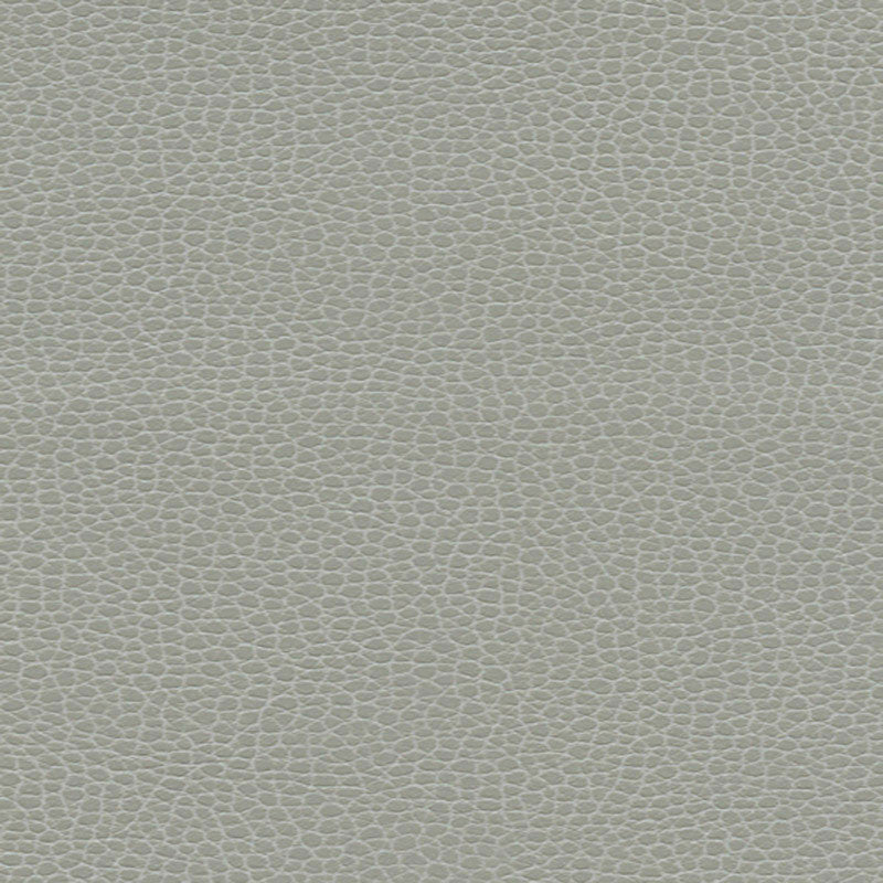 Promessa Ash 363-5818 by Schumacher Fabric ULTRALEATHER See Sample JAPAN HEAVY DUTY </p><p>Repeat: Horizontal: - and Vertical: - 54" WIDE (137CM) - Fabric Carolina -