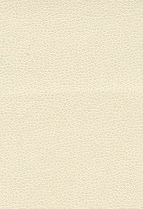 Promessa Pearl 363-5848 by Schumacher Fabric