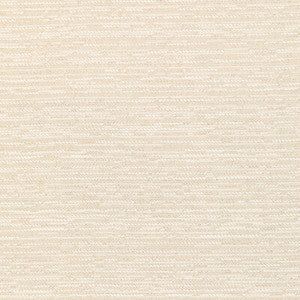 36300-101 by Kravet Fabric
