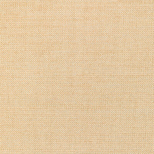 36302-116 by Kravet Fabric