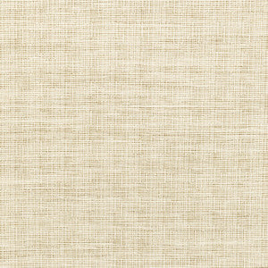 36303-1 by Kravet Fabric
